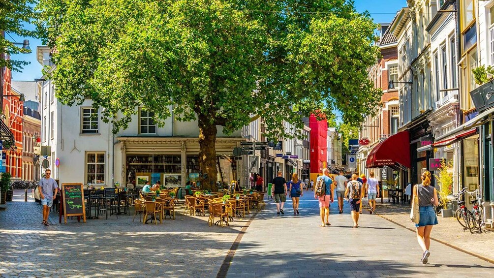 Historical Breda: Private Tour with Local Guide