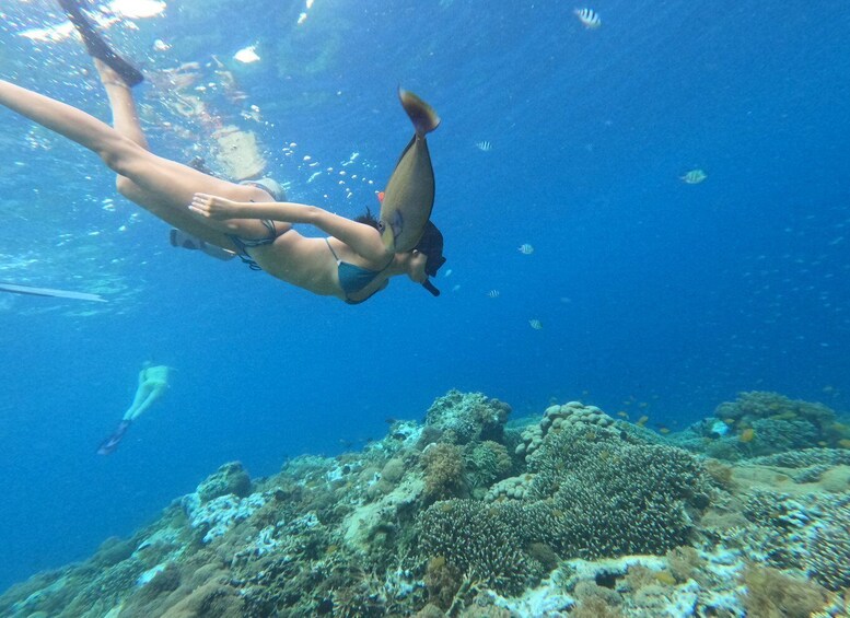 Picture 5 for Activity Gili Islands: 2-Hour Snorkel with GoPro Camera & Guide