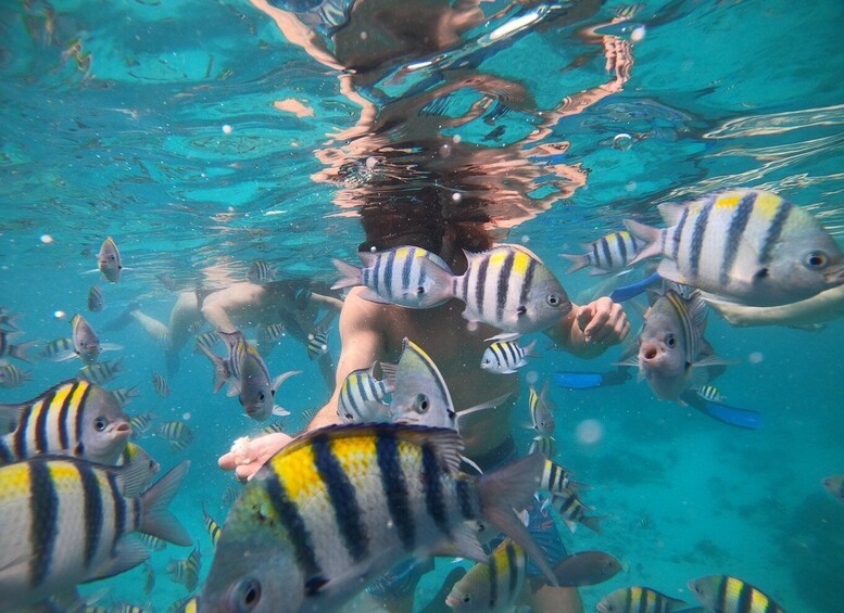 Picture 4 for Activity Gili Islands: 2-Hour Snorkel with GoPro Camera & Guide