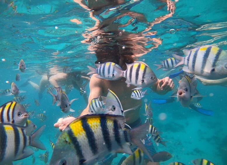 Picture 4 for Activity Gili Islands: 2-Hour Snorkel with GoPro Camera & Guide