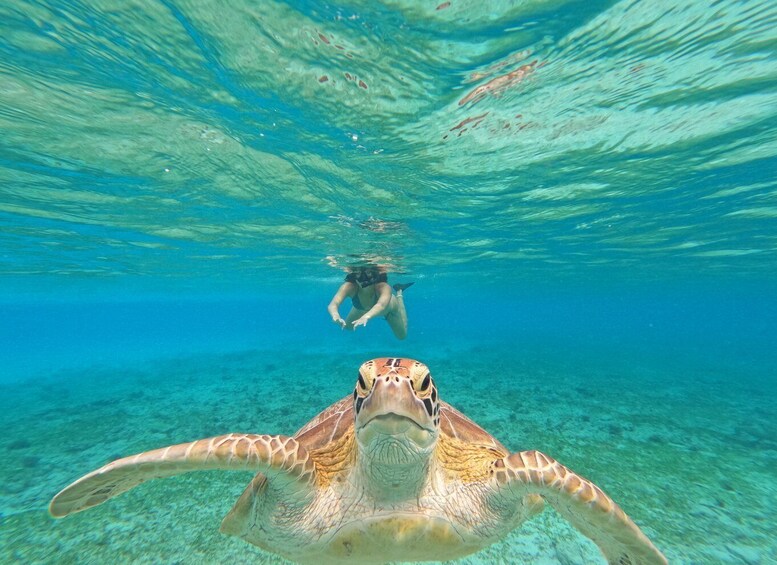 Gili Islands: 2-Hour Snorkel with GoPro Camera & Guide