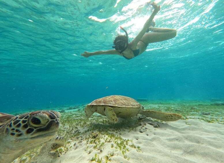 Picture 1 for Activity Gili Islands: 2-Hour Snorkel with GoPro Camera & Guide