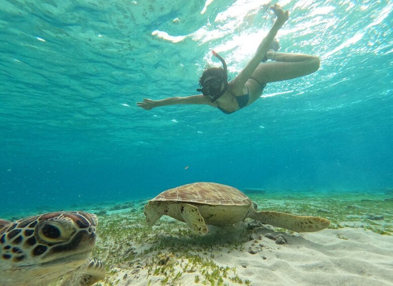 Picture 1 for Activity Gili Islands: 2-Hour Snorkel with GoPro Camera & Guide