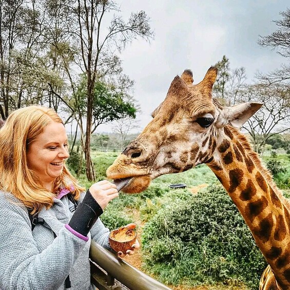 Nairobi: The Giraffes Centre Guided Tour.