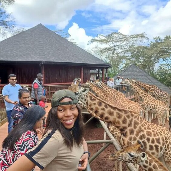 Picture 10 for Activity Nairobi: The Giraffes Centre Guided Tour.