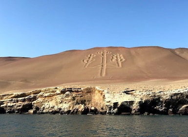 De Paracas : Croisière de l’île ballestas et Visite de la réserve de Paraca...