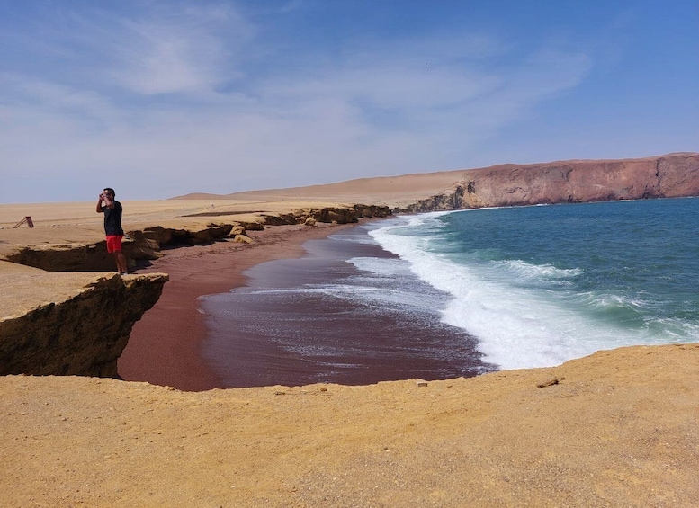 Picture 12 for Activity From Paracas: Ballestas Island Cruise & Paracas Reserve Tour