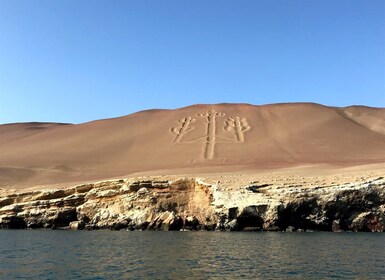 From Paracas: Ballestas Island Cruise & Paracas Reserve Tour