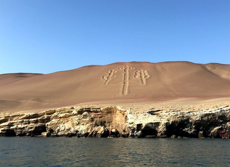 From Paracas: Ballestas Island Cruise & Paracas Reserve Tour