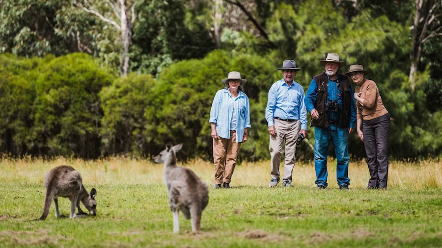 Canberra: Best of Wildlife Tour