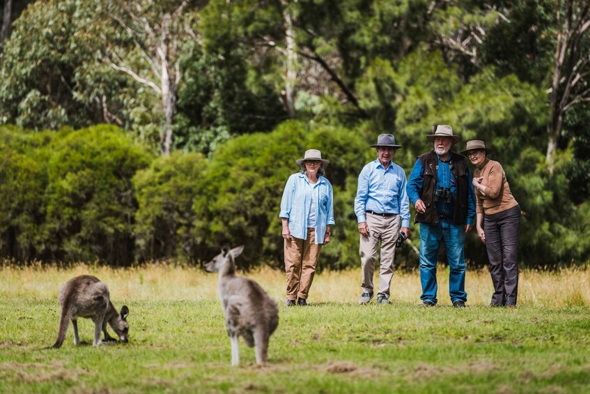 Canberra: Best of Wildlife Tour