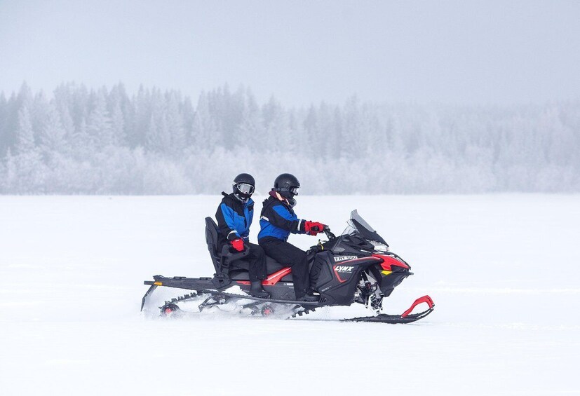 Picture 2 for Activity Luleå : Snowmobile - Forest and Ice Nature Tour 2h