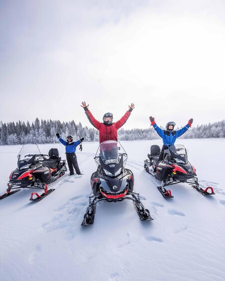 Luleå : Snowmobile - Forest and Ice Nature Tour 2h