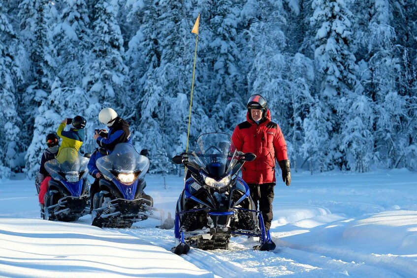 Picture 7 for Activity Luleå : Snowmobile - Forest and Ice Nature Tour 2h