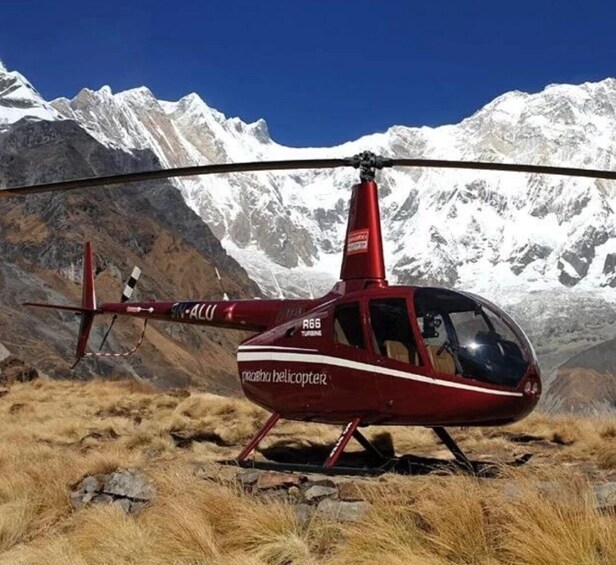 Picture 3 for Activity Helicopter Sightseeing Tour. to Annapurna Base Camp