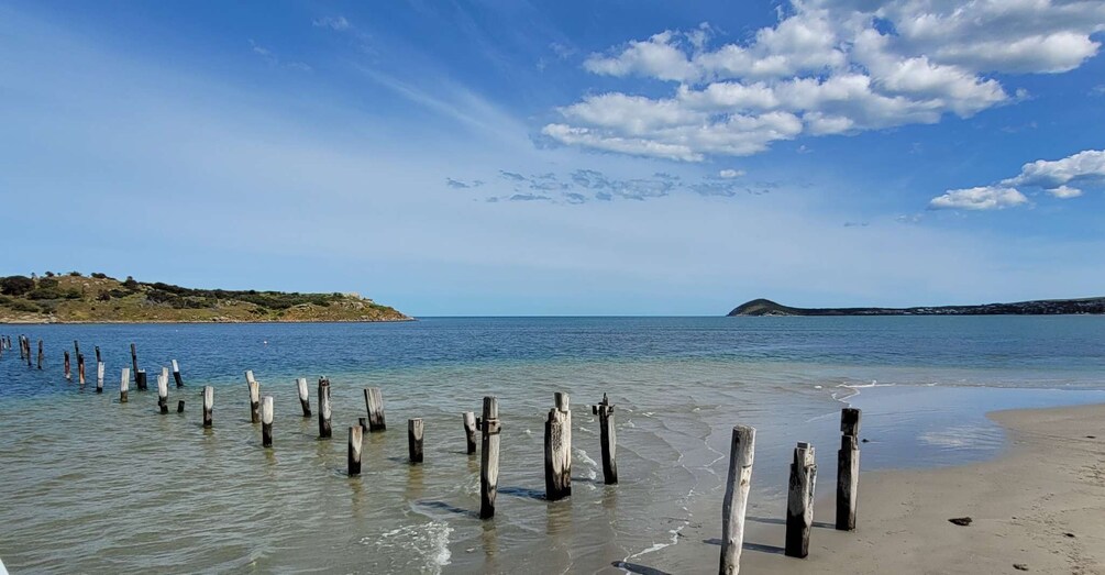 Picture 1 for Activity Discover Victor Harbor Guided Walking Tour