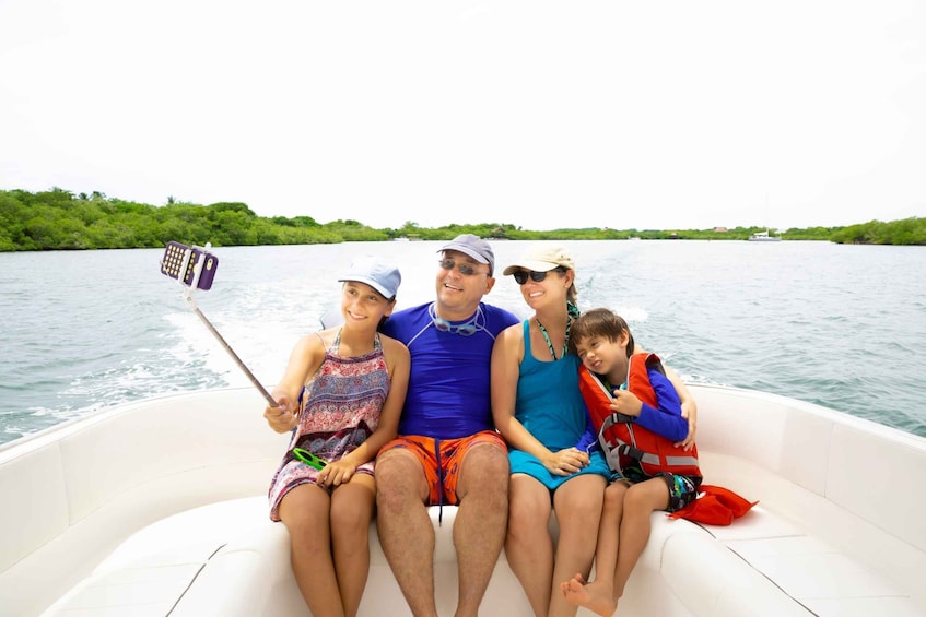 Picture 2 for Activity Holiday, FL: Anclote Key Preserve Private Boat Tour