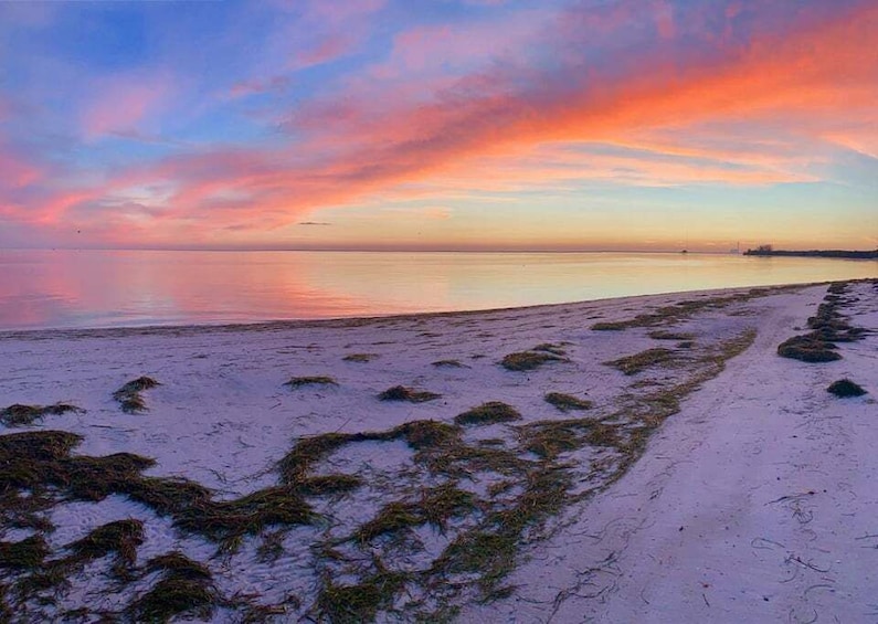 Picture 6 for Activity Holiday, FL: Anclote Key Preserve Private Boat Tour