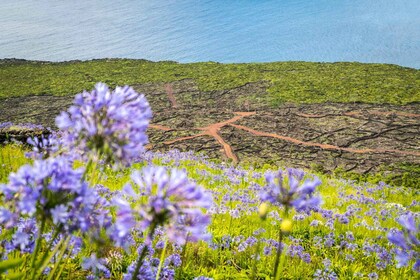 Desde Madalena: tour guiado de un día a los volcanes y lagos del Pico