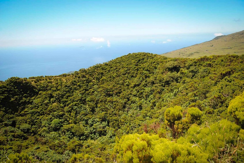 Picture 2 for Activity From Madalena: Pico Volcanoes and Lakes Guided Day Tour