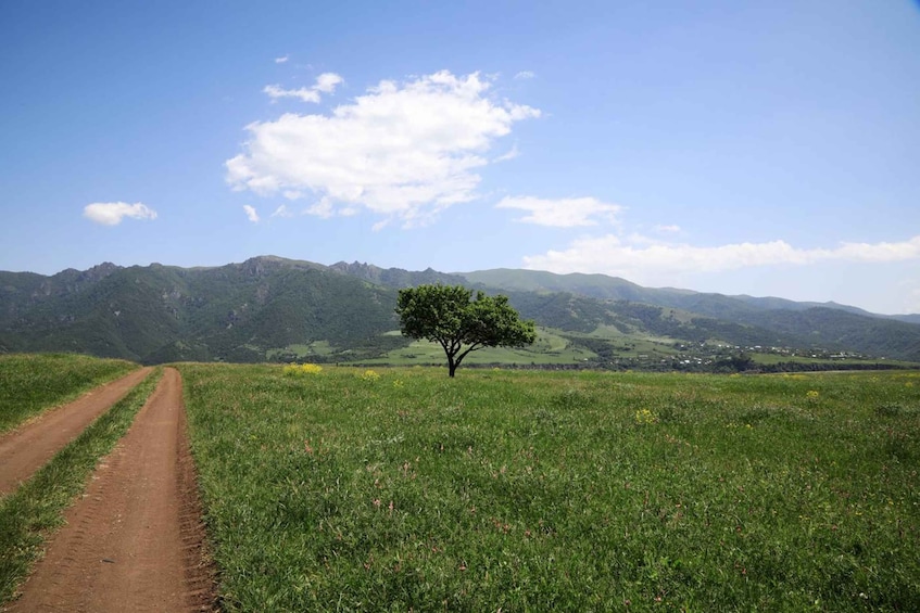 Picture 7 for Activity 2-Day North of Armenia Tavush & Lori. Dilijan Ijevan & more