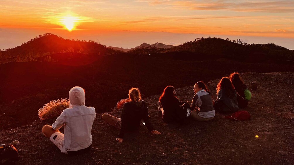 Picture 3 for Activity Santa Cruz de Tenerife: Private Teide National Park Tour