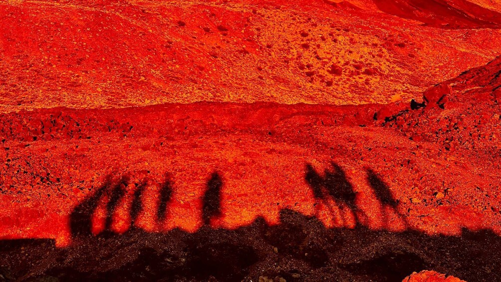 Picture 5 for Activity Tenerife: Private VIP Tour Teide National Park