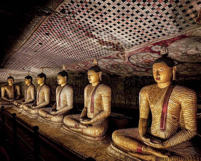 Picture 1 for Activity Kandy: Sigiriya Dambulla & Minneriya Park Safari day tour