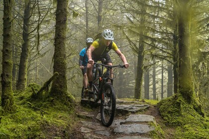 From Dublin: Mountain Bike Experience