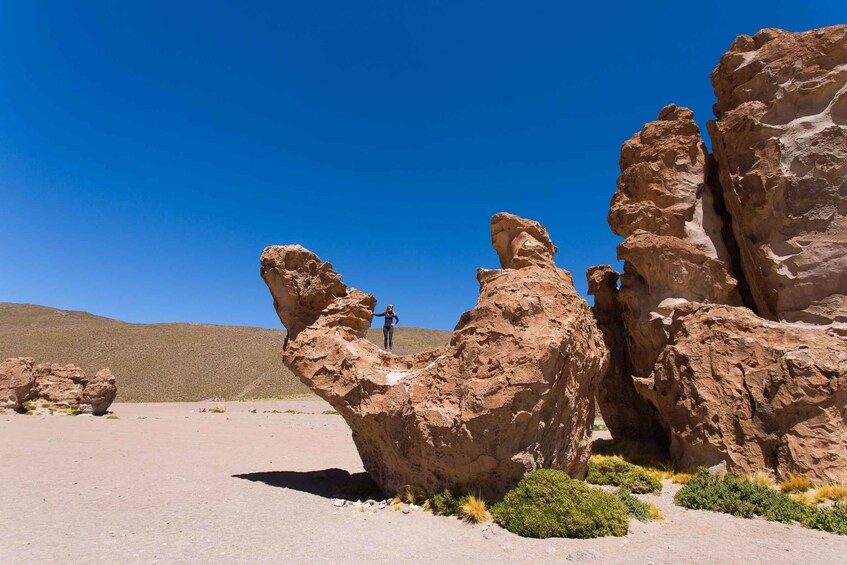 Picture 8 for Activity From Uyuni: Geyser and Uyuni Salt Flats 3-Days | Flamingos |