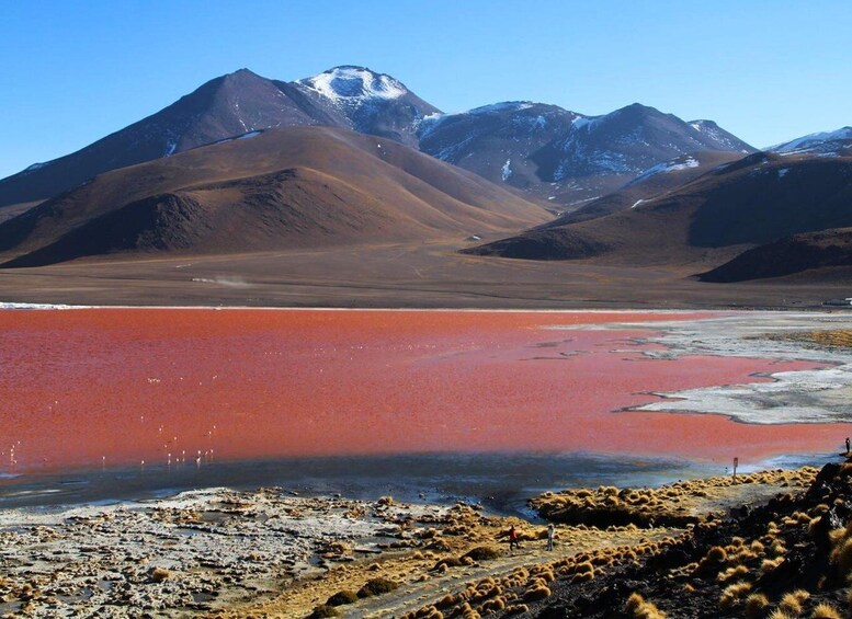 Picture 17 for Activity From Uyuni: Geyser and Uyuni Salt Flats 3-Days | Flamingos |