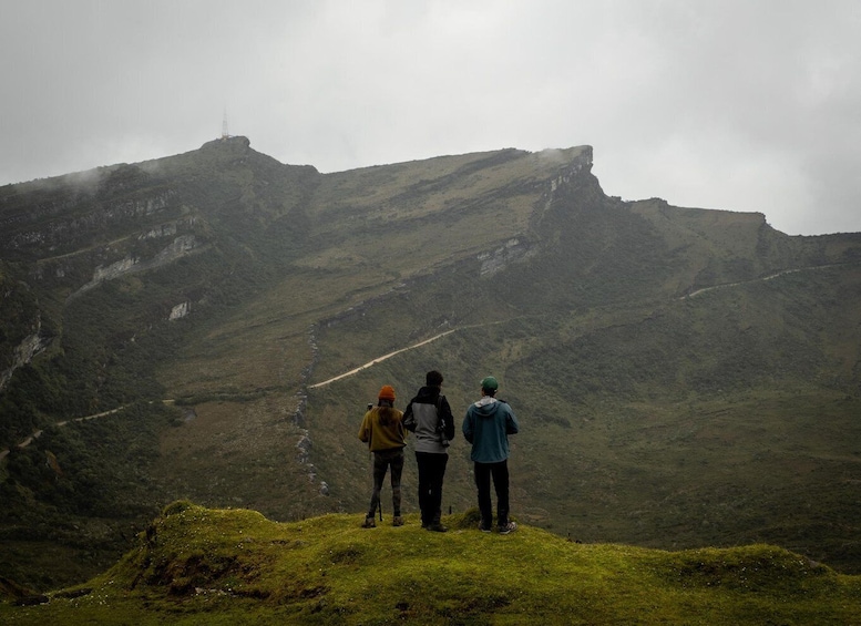 Picture 3 for Activity Private sight Tour Chingaza Paramo from Bogota, Andean Bear