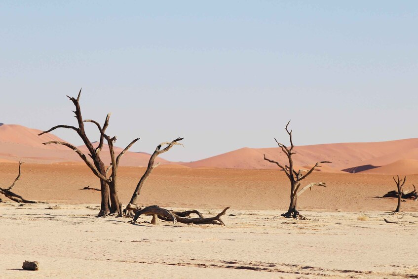 Picture 2 for Activity Private 03 Days Amazing Red Dunes of Sossusvlei | Lodge