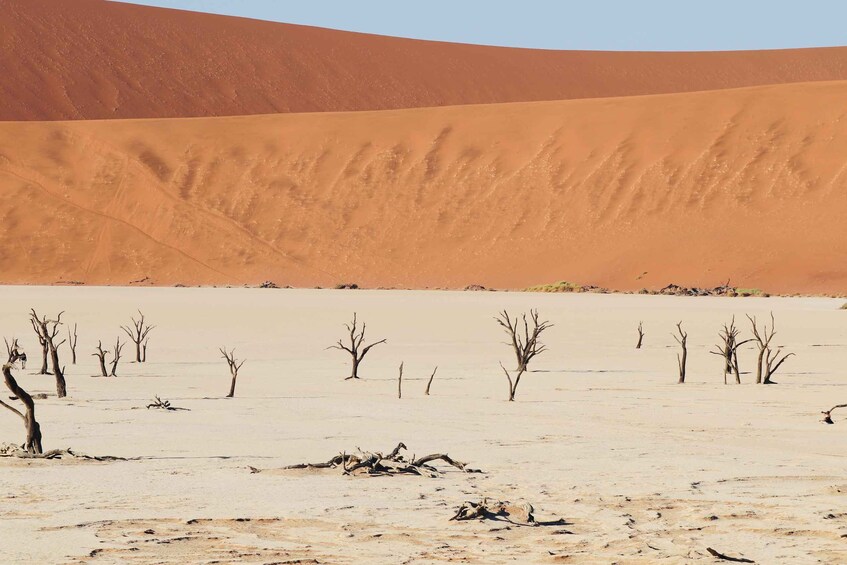 Picture 3 for Activity Private 03 Days Amazing Red Dunes of Sossusvlei | Lodge