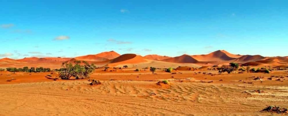 Picture 5 for Activity Private 03 Days Amazing Red Dunes of Sossusvlei | Lodge