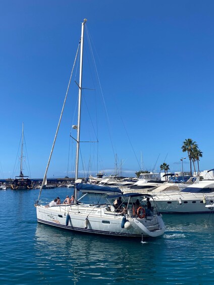 Picture 4 for Activity Puerto Colon: Whale-Watching Sailing Tour with Meal & a Swim