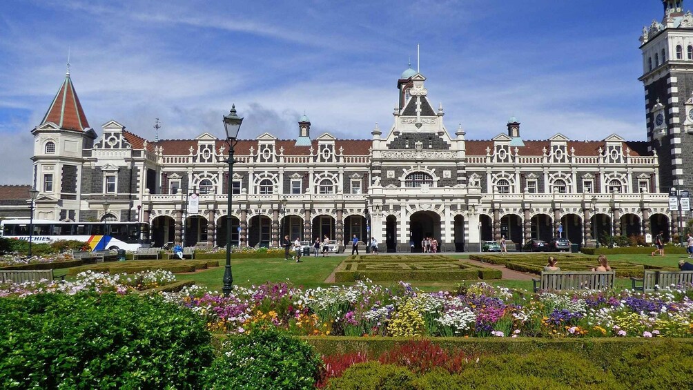 Picture 5 for Activity All in Dunedin - Nature & City Tour