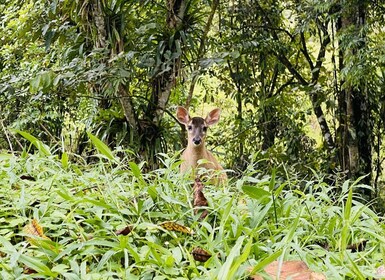 Wellness Park Nature Reserve