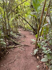 Wellness Park Nature Reserve