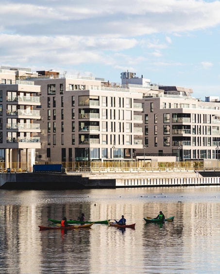 Picture 12 for Activity Oslo Kayak Tour “Fjord City”
