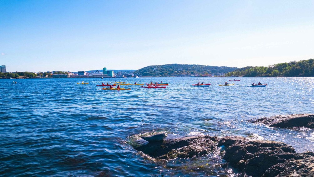 Picture 3 for Activity Oslo Sea Kayak Tour “Fjord City”