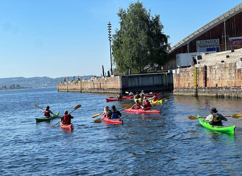 Picture 30 for Activity Oslo Kayak Tour “Fjord City”