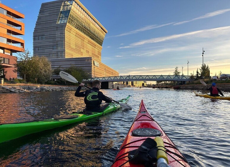 Oslo Kayak Tour “Fjord City”