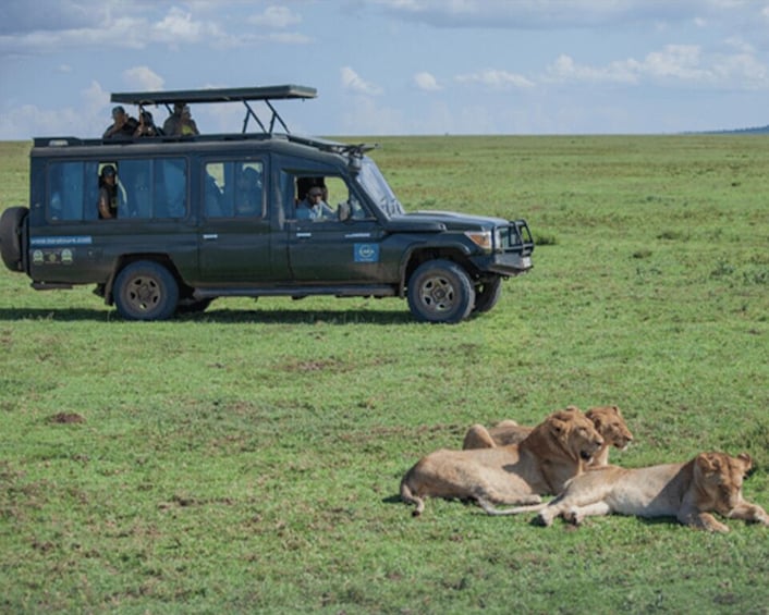 BIG FIVE LUXURY SAFARI