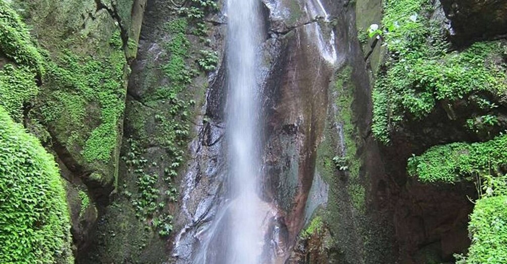 Picture 3 for Activity Materuni Waterfall & Coffee Tour