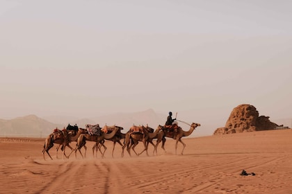 From Amman: Full day Petra & Wadi rum Tour