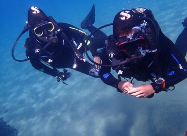 Puerto del Carmen: Try Scuba Diving from the beach