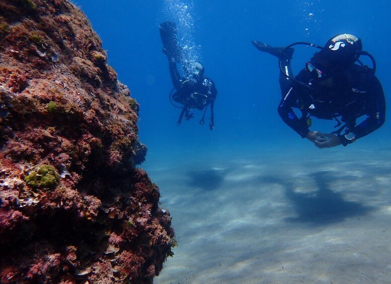 Picture 7 for Activity Puerto del Carmen: Try Scuba Diving from the beach