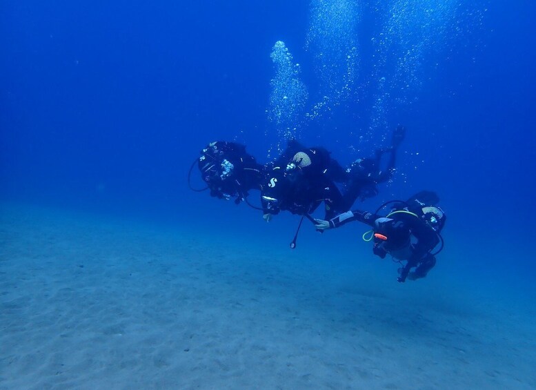 Picture 2 for Activity Puerto del Carmen: Try Scuba Diving from the beach