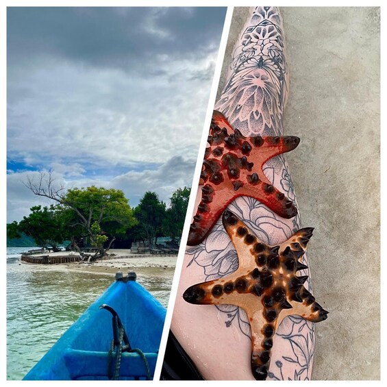 Picture 4 for Activity Senggigi: SnorklingDayTrip to Gili Island Nanggu&Sudka&Kedis